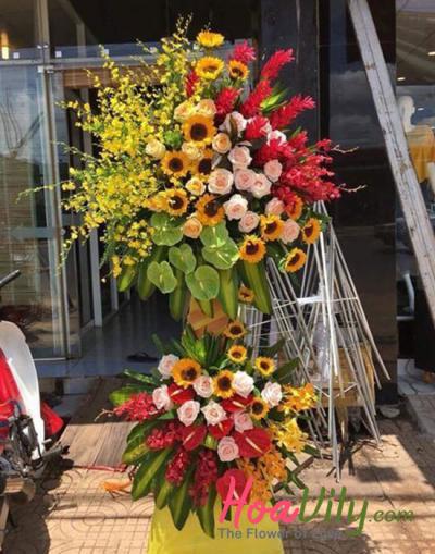 Hoa khai trương- Nền tảng vững chắc