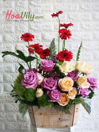 Hoa sinh nhật - Tình yêu thơ ngây
