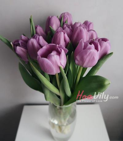 HOA TULIP TÍM-KHÍ CHẤT HOÀNG GIA SANG TRỌNG