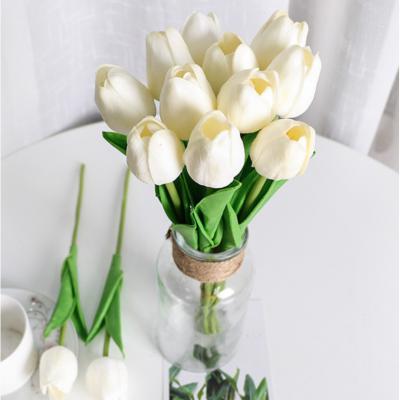 HOA TULIP TRẮNG VẺ ĐẸP CỦA SỰ THUẦN KHIẾT VÀ THANH LỊCH