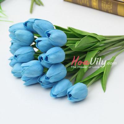 HOA TULIP XANH - VẺ ĐẸP ĐỘC ĐÁO ĐẦY CÁ TÍNH