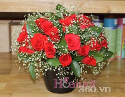 hoa hồng kết hợp đặc sắc hoa hồng kết hợp đặc sắc
