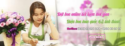 Hoa tươi Sài Gòn - Hoavily