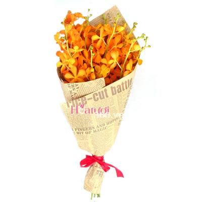 Hoa lan vũ nữ cắt cành sang trọng trong hội nghị Hoa lan vũ nữ cắt cành sang trọng trong hội nghị