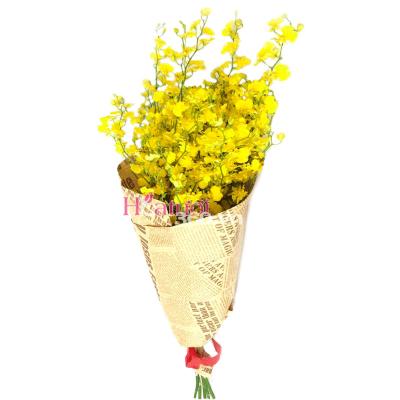 Hoa lan vũ nữ cắt cành sang trọng trong hội nghị Hoa lan vũ nữ cắt cành sang trọng trong hội nghị