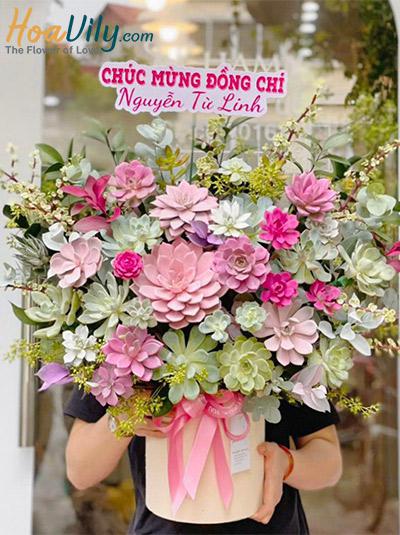 Hộp hoa sen đá - Vẻ đẹp lãng mạn