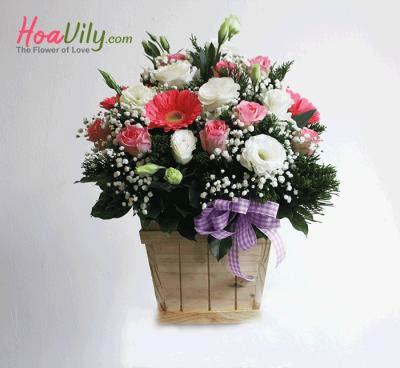 Hộp hoa Sức sống mới