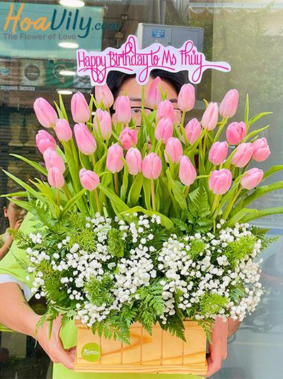 Hộp hoa tulip hồng - Gió xuân lãng mạn