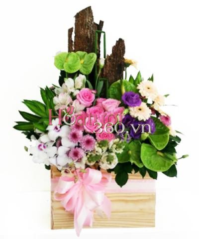 Hope of Love_Hoa Tươi 360