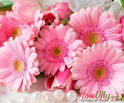 Hướng dẫn chọn bình hoa đồng tiền đẹp và phù hợp dành cho bạn