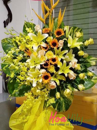 Kệ hoa chúc mừng - Ngày rực rỡ-hoavily
