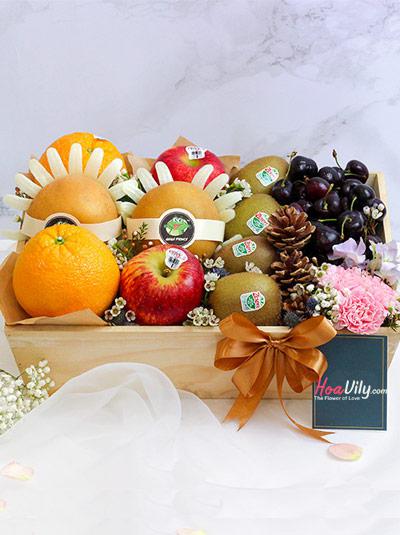Khay quà tặng trái cây - Muôn màu muôn sắc