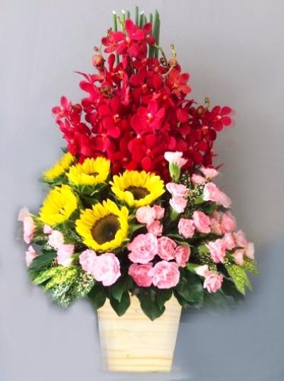 Khởi đầu mới suôn sẻ