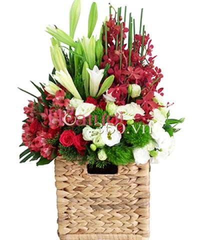 Lush bright 2_Hoa Tươi 360