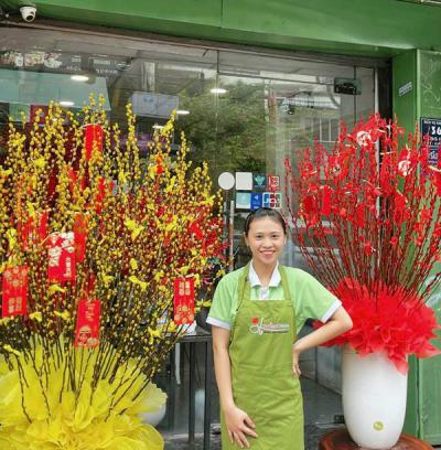 Nụ tầm xuân và những sự thật xung quanh loài hoa này 