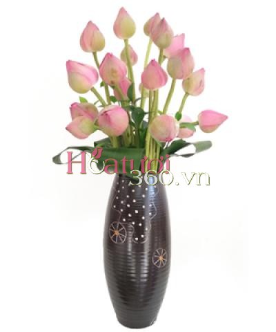 Sen hồng_Hoa Tươi 360