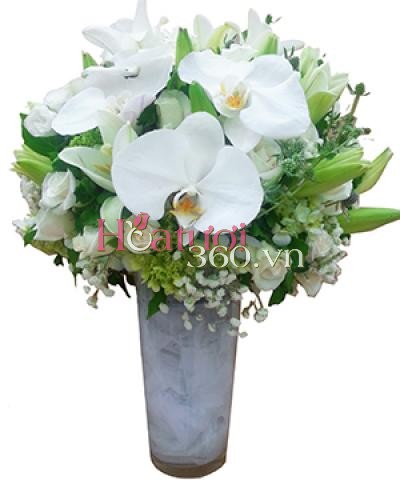 Thanh Cao_Hoa Tươi 360