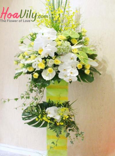 Thành công rực rỡ