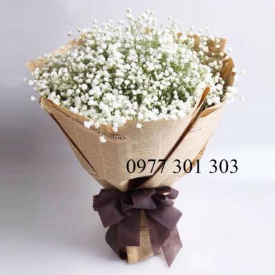 Hoa baby-Trắng tinh khôi