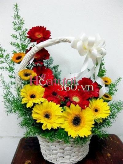 Trẻ trung_Hoa Tươi 360