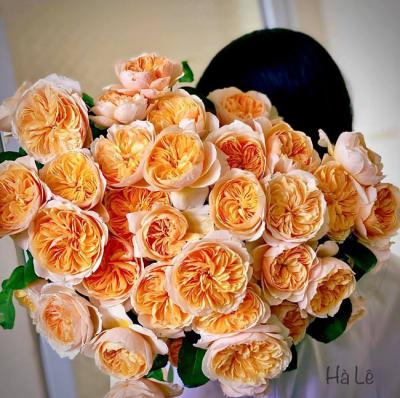 Tư vấn tặng hoa sinh nhật cho nam giới