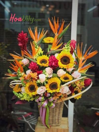Vũ điệu rộn rã