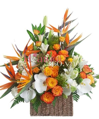 Vũ khúc thiên điểu_Hoa Tươi 360