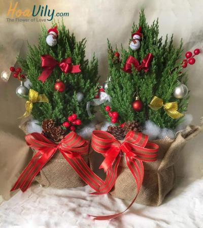 Ý tưởng trang trí cây tùng thơm cho mùa Noel