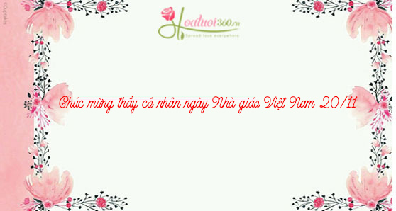 Lời chúc thầy cô nhân ngày 20/11 cực hay và ý nghĩa