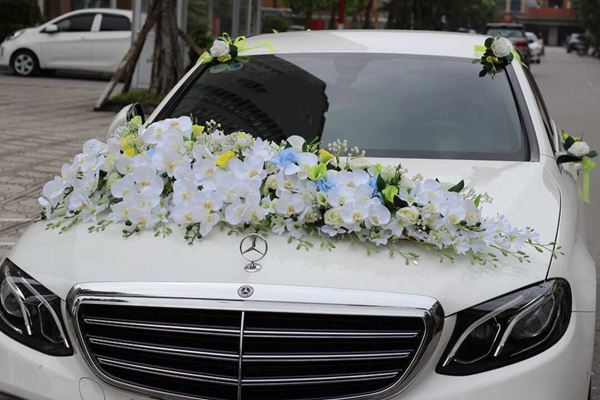 Lan hồ điệp trang trí xe hoa cưới
