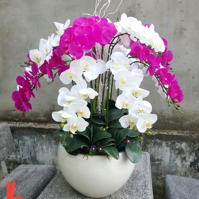 Chậu hoa lan giả cao cấp