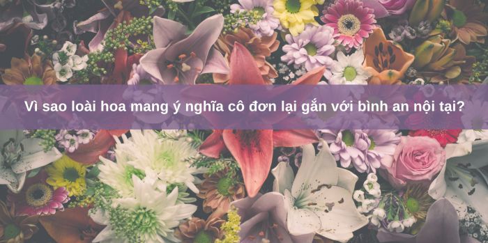 Ý nghĩa hoa tượng trưng cho sự cô đơn 