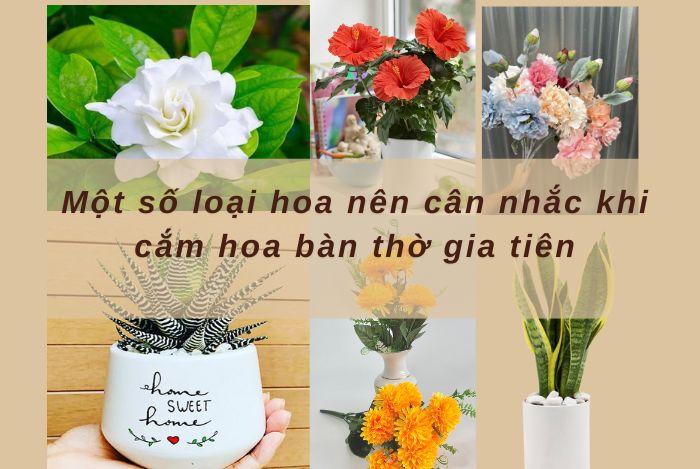 Loài hoa nên tránh chọn khi cắm hoa bàn thờ gia tiên 