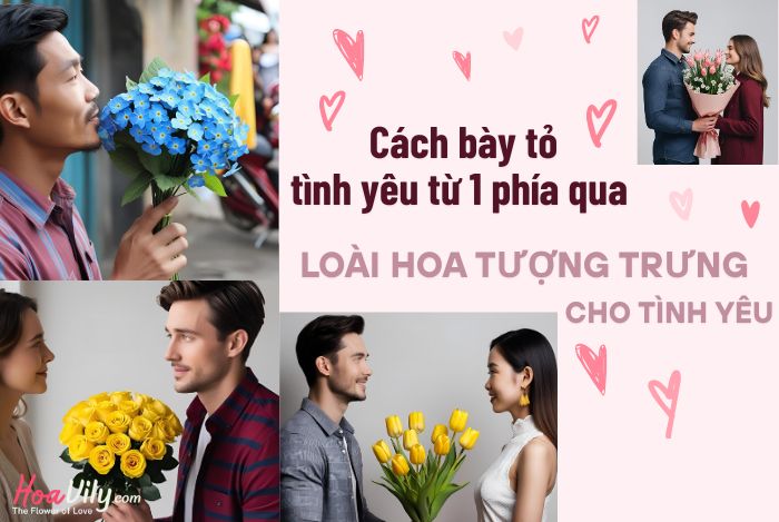 Cách bày tỏ tình yêu đơn phương qua những loài hoa 