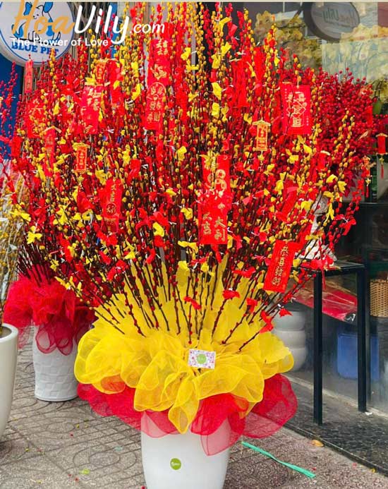 Chậu hoa nụ tầm xuân kết hợp