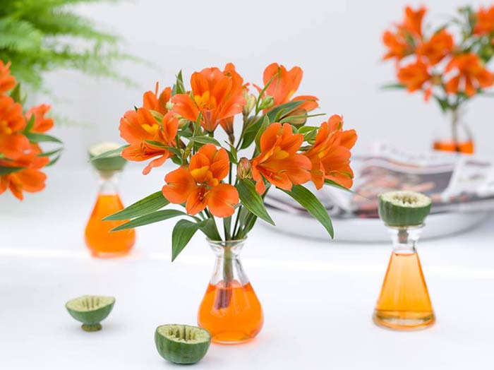 Hoa thủy tiên - Loài hoa tượng trưng cho cung Song Ngư