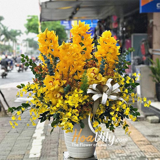 Hoa địa lan vàng có nhiều công dụng khác nhau