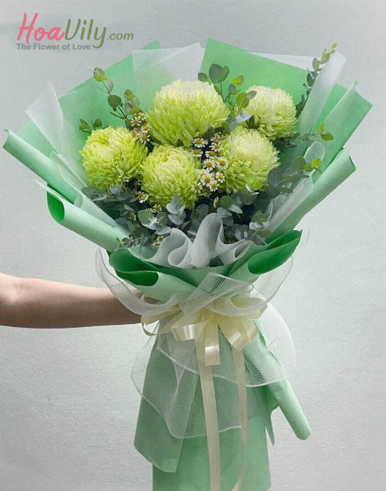 Cúc mẫu đơn xanh lá