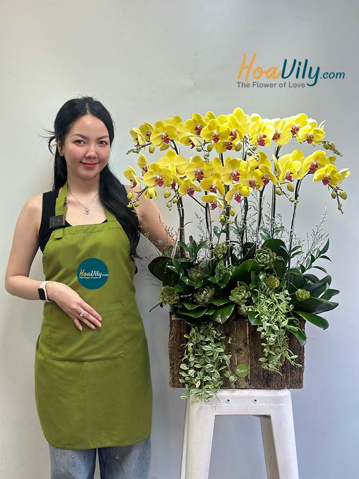 Hoa lan tượng trưng cho cung Bảo Bình