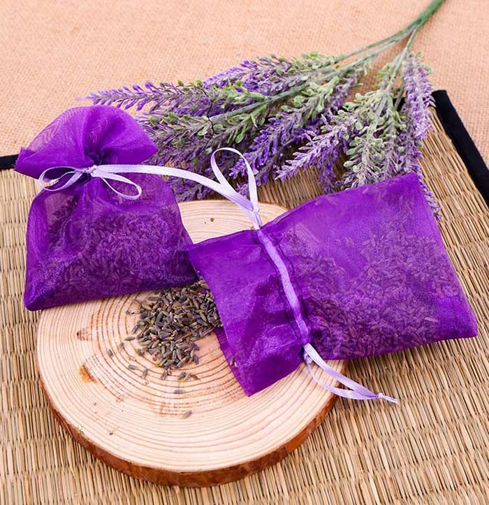 Hoa Oải Hương - loài hoa tượng trưng cho cung Song Tử