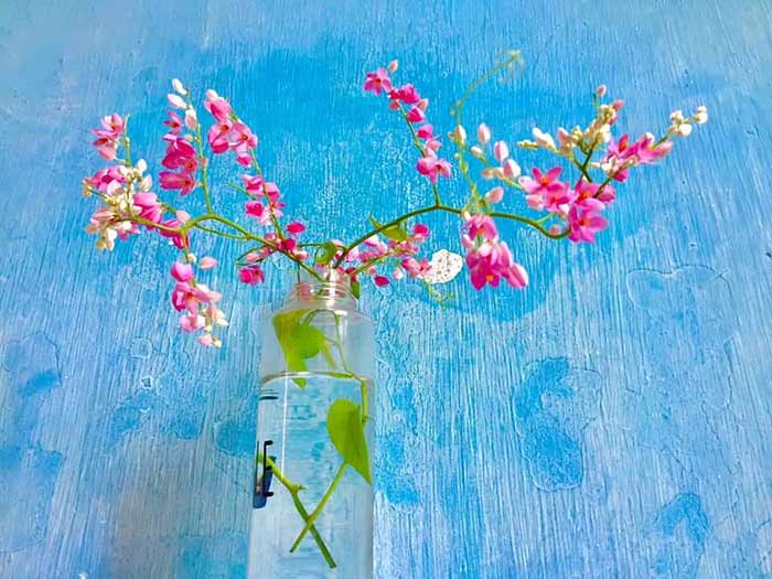 Xu hướng cắm hoa theo phong cách Eco-Chic