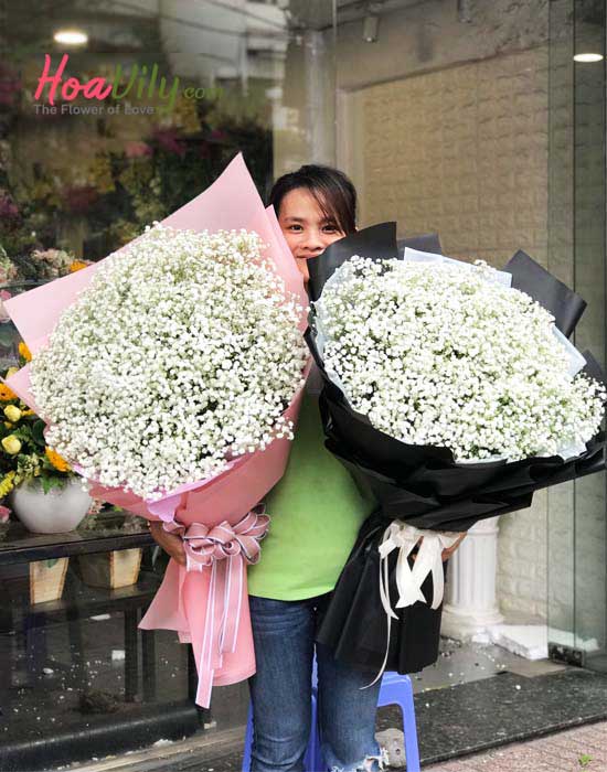 Bó hoa baby Hà Lan đốn tim nàng - Hoavily