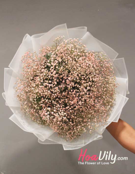 Bó baby hồng phớt nhẹ nhàng - Hoavily