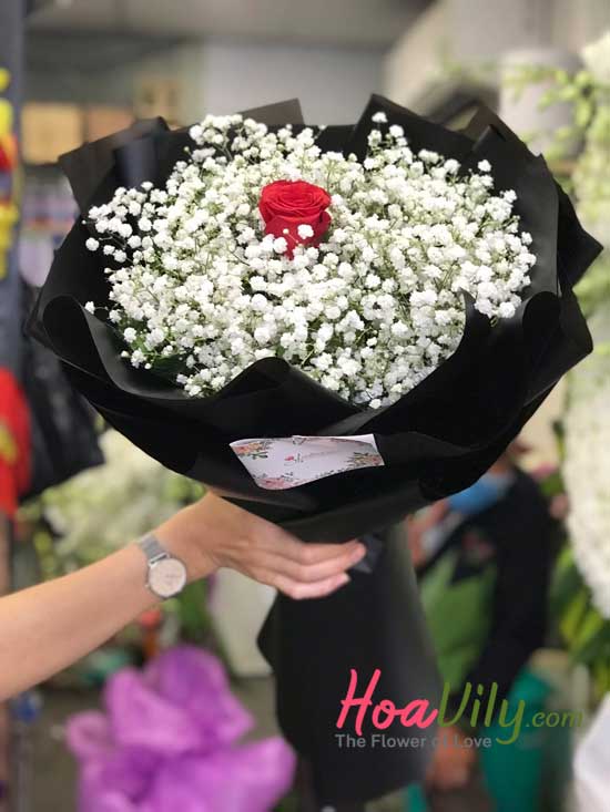 Bó hoa baby- Một tình yêu - Hoavily