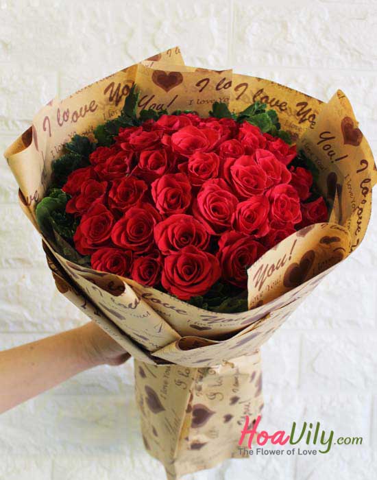 Bó hồng đỏ- Dằm trong tim - Hoavily