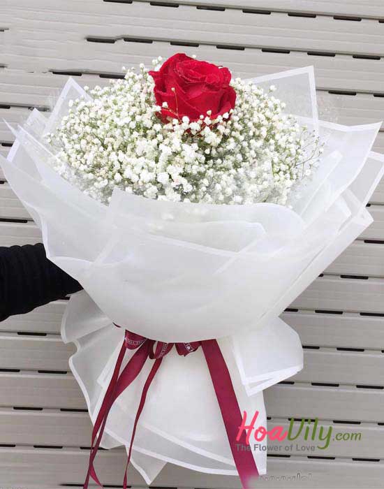 Bó hồng baby- Chỉ vì yêu - Hoavily