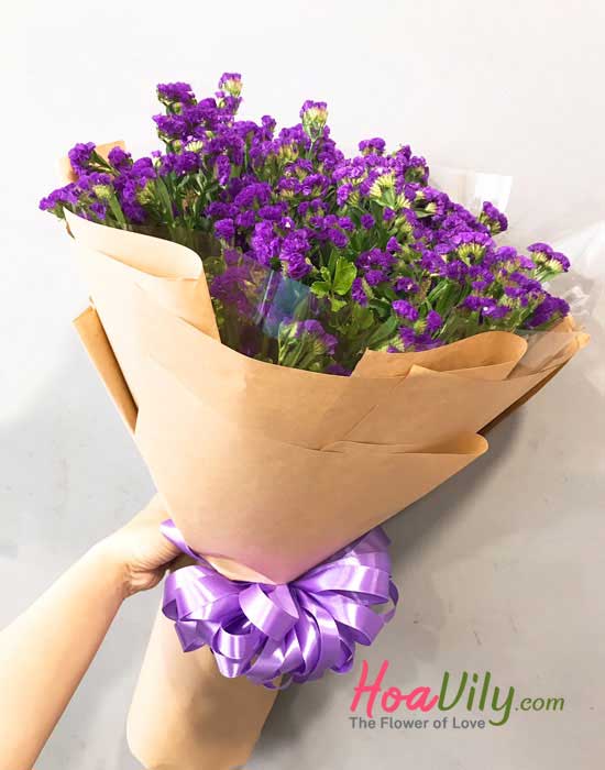 Bó salem tím biếc đốn tim nàng - Hoavily