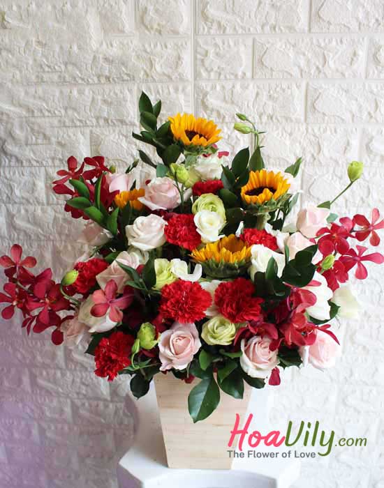 Hoa chúc mừng để bàn - Hoavily