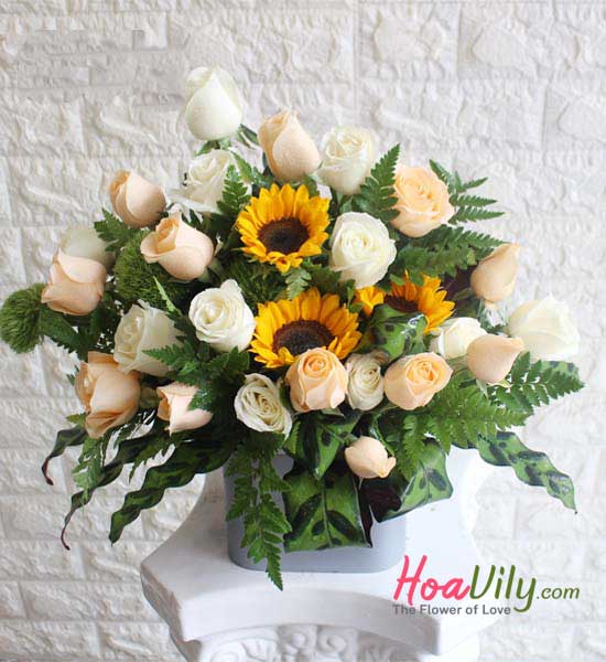 Hoa chúc mừng - Nắng mai - Hoavily