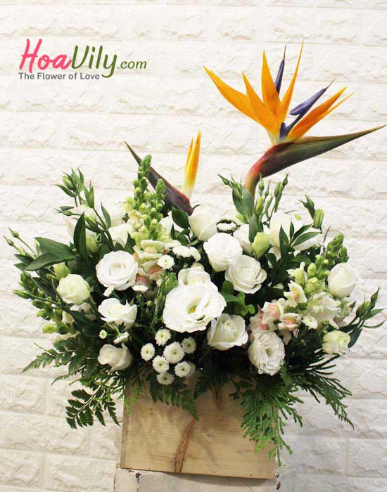 Hoa hộp gỗ- Chào ngày tươi sáng - hoavily